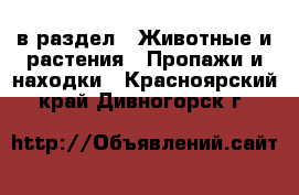  в раздел : Животные и растения » Пропажи и находки . Красноярский край,Дивногорск г.